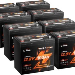 LiTime 12V 100Ah Xtra-Mini Bluetooth Trolling Motor LiFePO4 Battery Review (2026) — Is It Worth Buying?