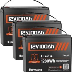 HumsiENK 12V 100Ah LiFePO4 Lithium Battery Review