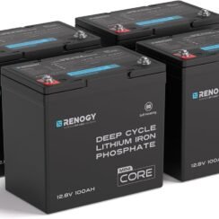 Renogy 300Ah LiFePO4 Lithium Battery, 12V Mini Size Deep Cycle Battery 3PCS | 200A BMS, Deep Cycle w/Remote Monitoring Compatibility, Backup Power for RV, Cabin, Marine, Home, Solar Off-Grid System Black Review